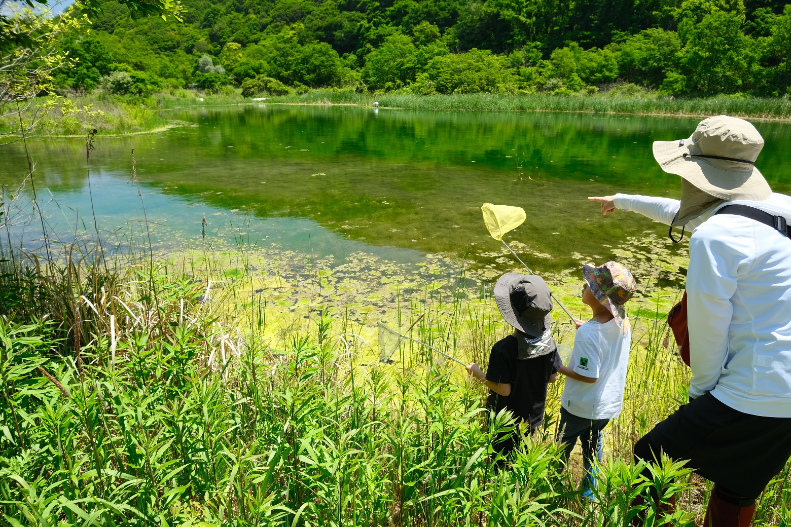 岬町の「多奈川ビオトープ」で生き物観察！生き物博士が、自然の見方を教えます！